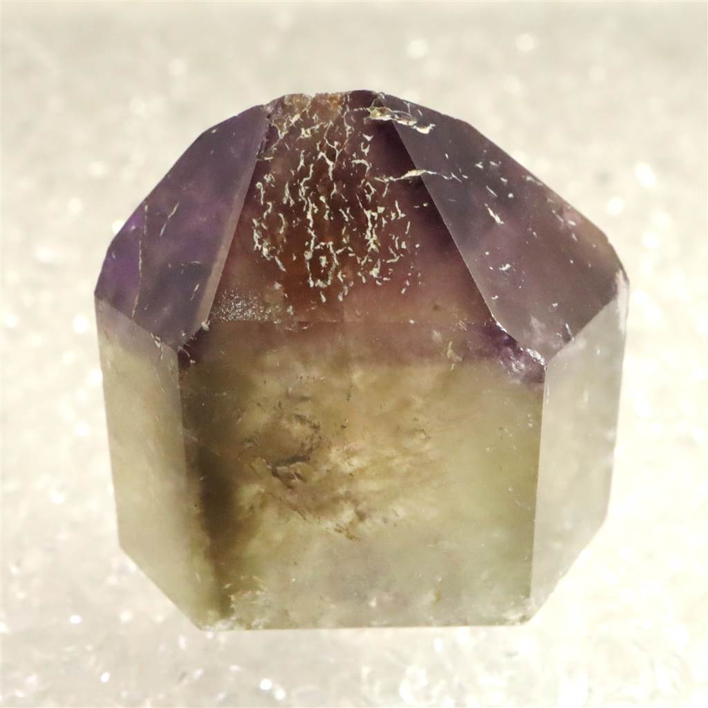 ドリームコートレムリアン | 榎本通商