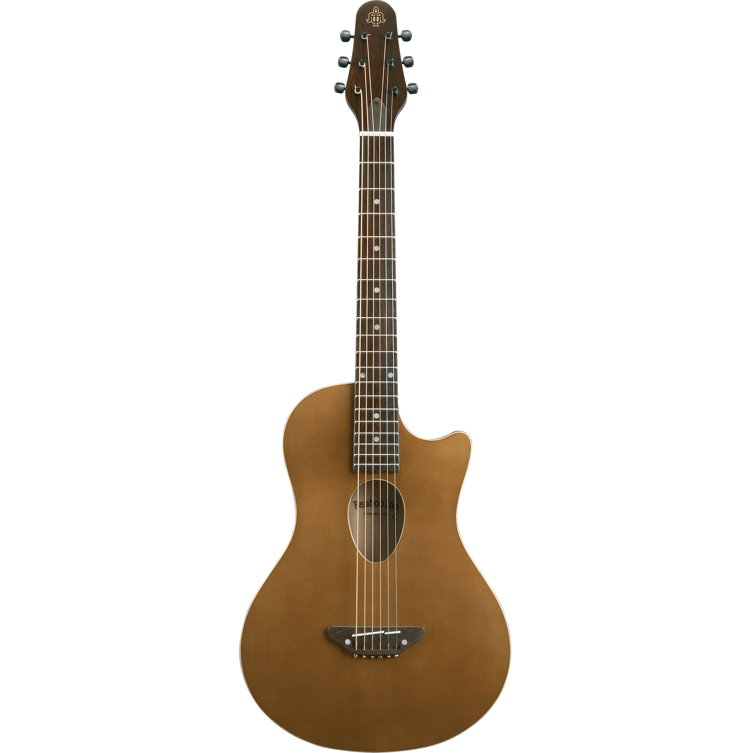 BambooInnCharプロデュース ニューコンセプトギター～すべての音楽人の