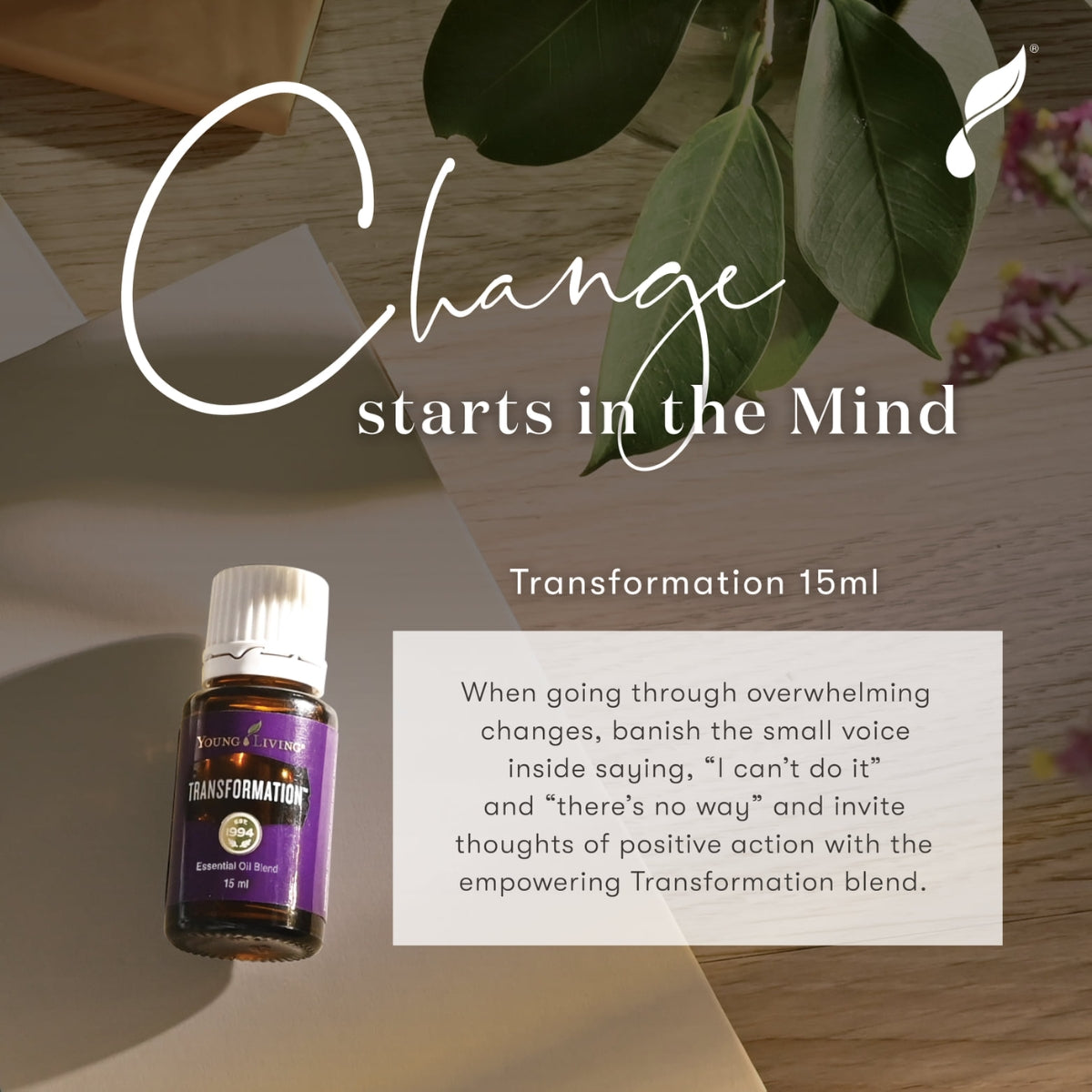 Young Living Transformation Essential Oil Blend - 15ml – Essential