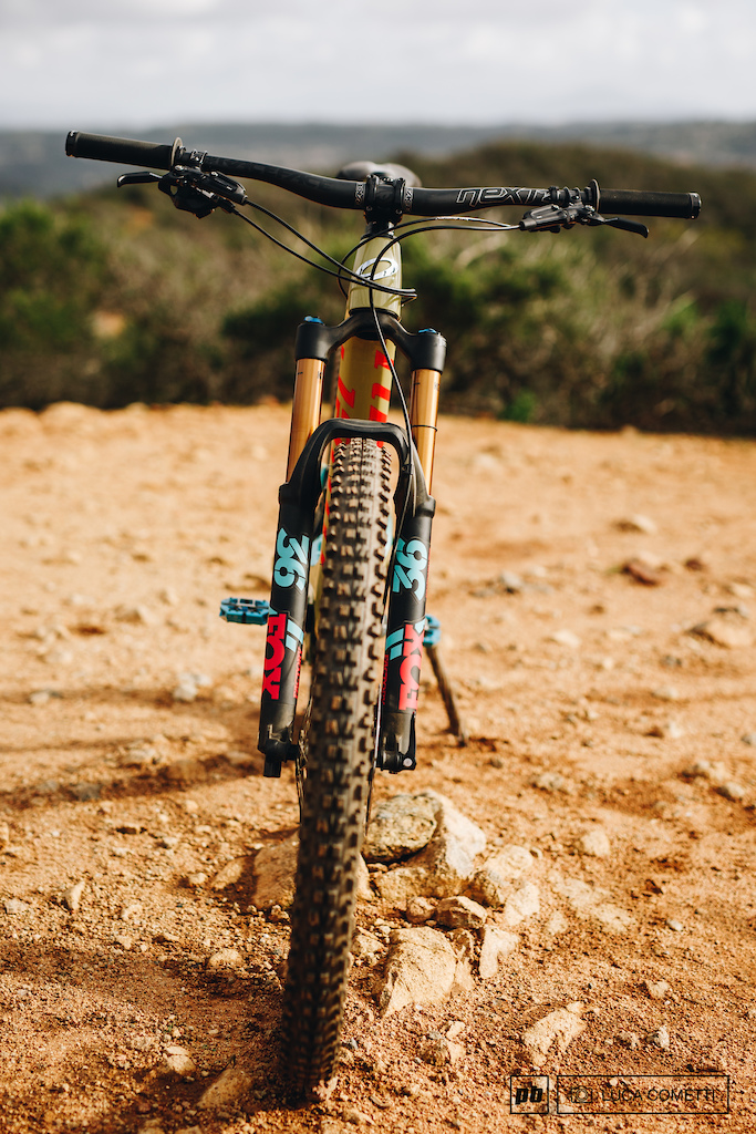 Review: Niner's 2019 RIP 9 RDO 29 - Pinkbike