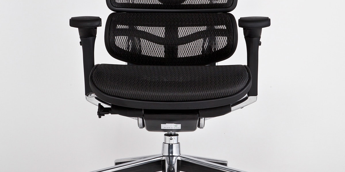 エルゴヒューマン ベーシック / ヘッドレスト無し【メーカー組み立て