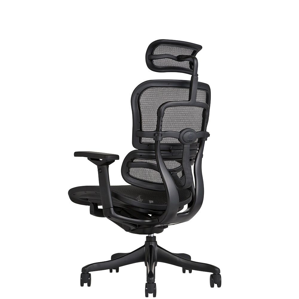 エルゴヒューマン ブラックエディション / ヘッドレスト有り【メーカー