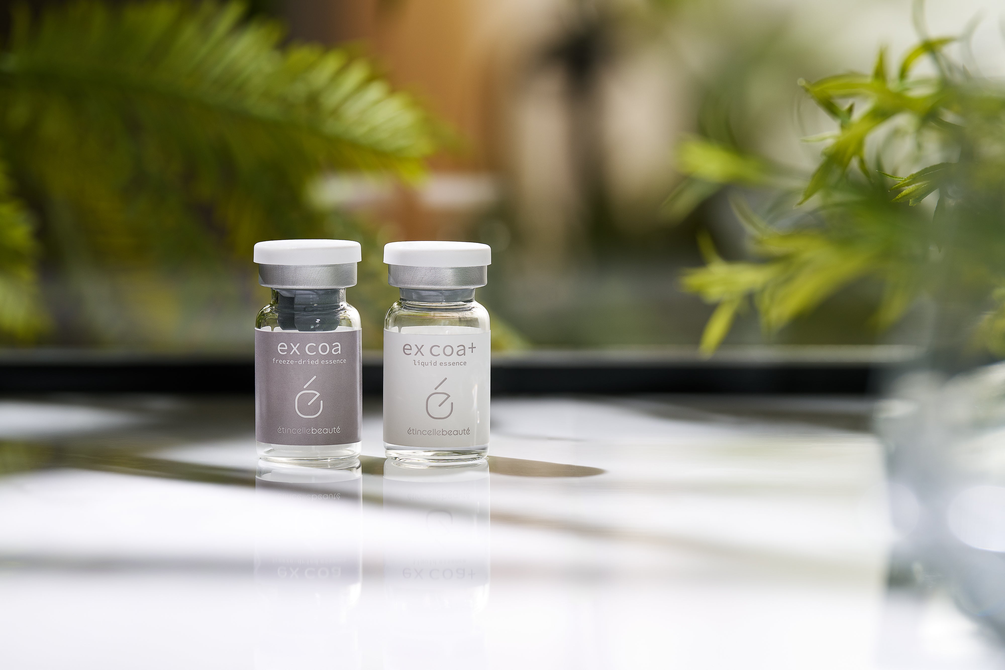 ex coa & ex coa⁺ エクソソーム 線維芽細胞 – エタンセルボーテ