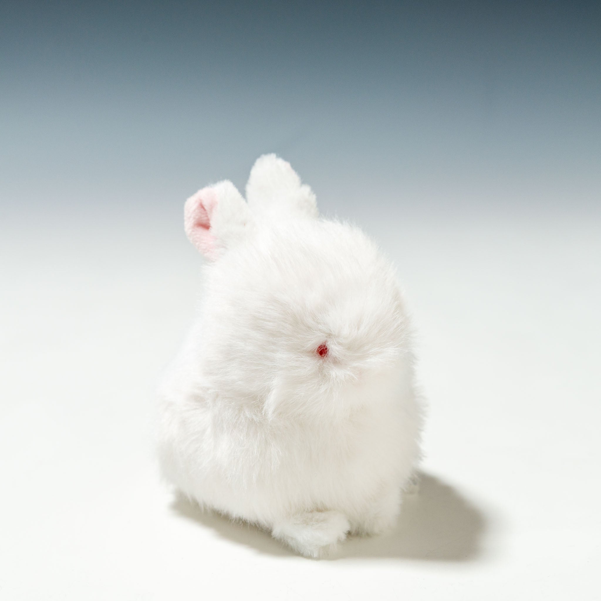 内藤デザイン研究所 ぬいぐるみ わたぽ 北の動物 全4種 - エステルノ