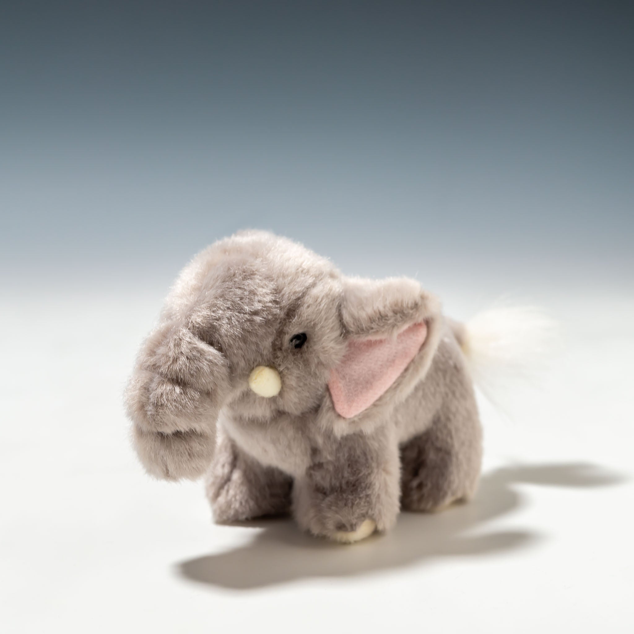 たけのこ TAKENOKO ぬいぐるみ サファリクラブ ゾウ 85907