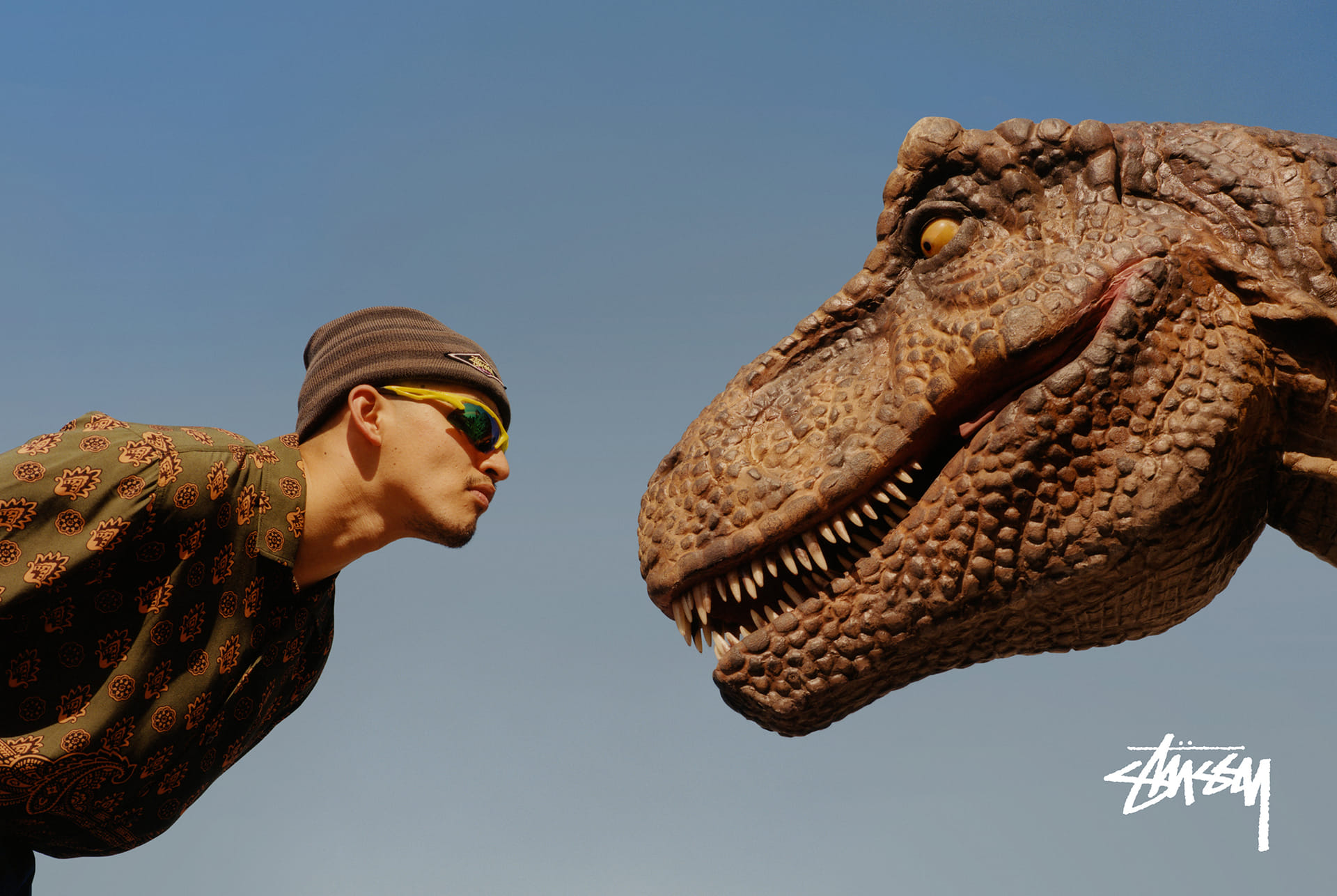 恐竜と戯れるSTÜSSY 2019 FALLのシーズンルックが可愛らしい | EYESCREAM