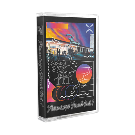 Flamingo Funk Volume 1 | My Pet Flamingo
