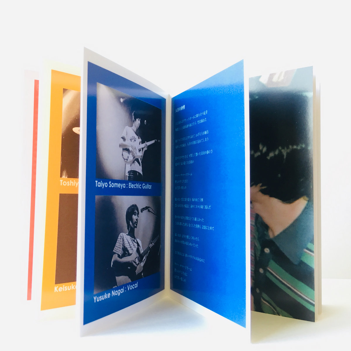 A Distant Shore” (Live Album) | Lamp | Botanical House