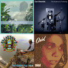 Dub Plate Selection | Twilight Circus