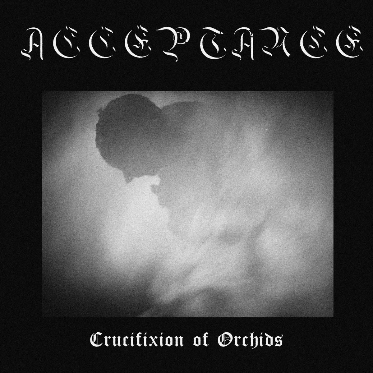 Crucifixion of Orchids | ACCEPTANCE