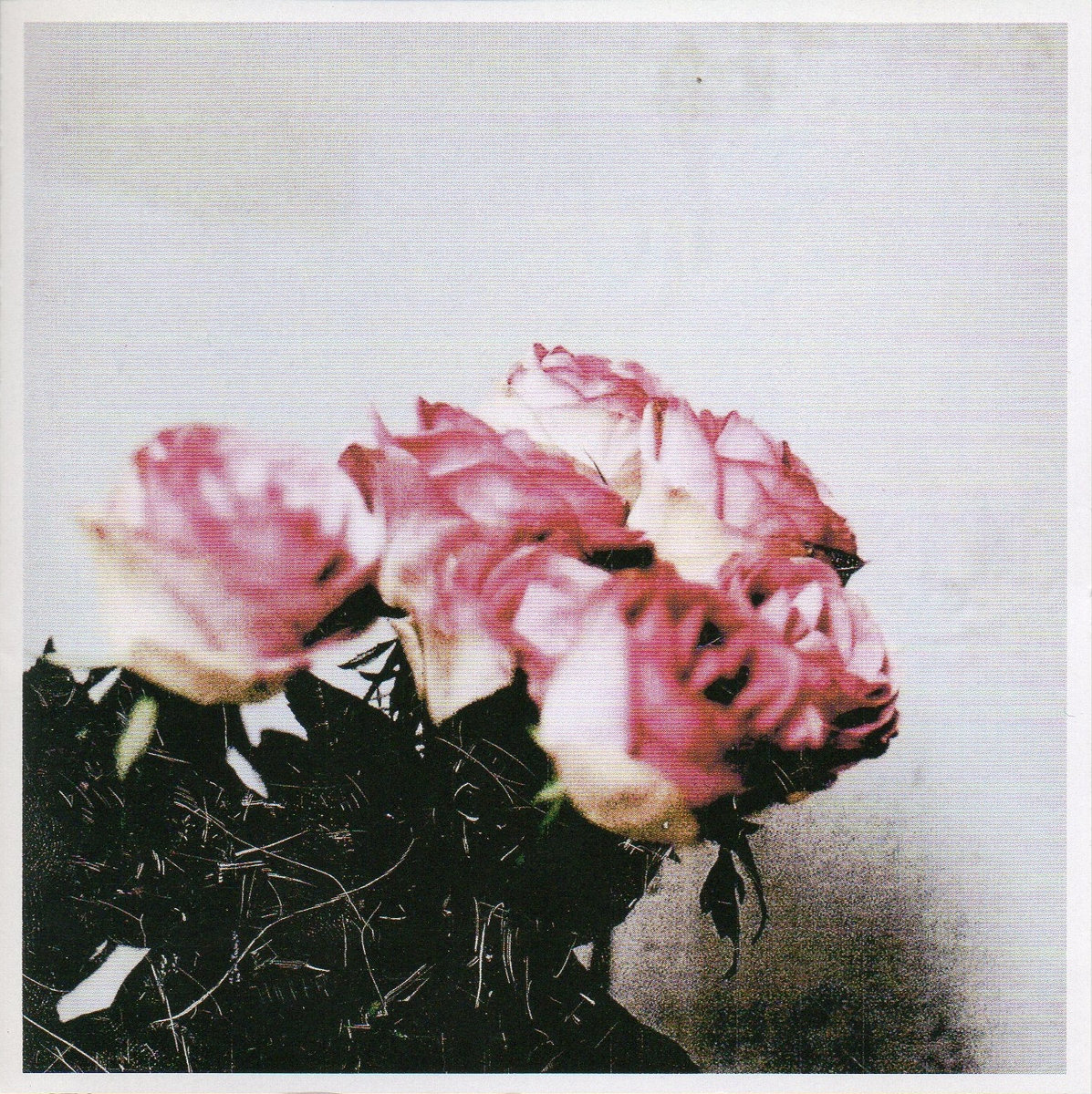 Love Logic | Minuano | Botanical House