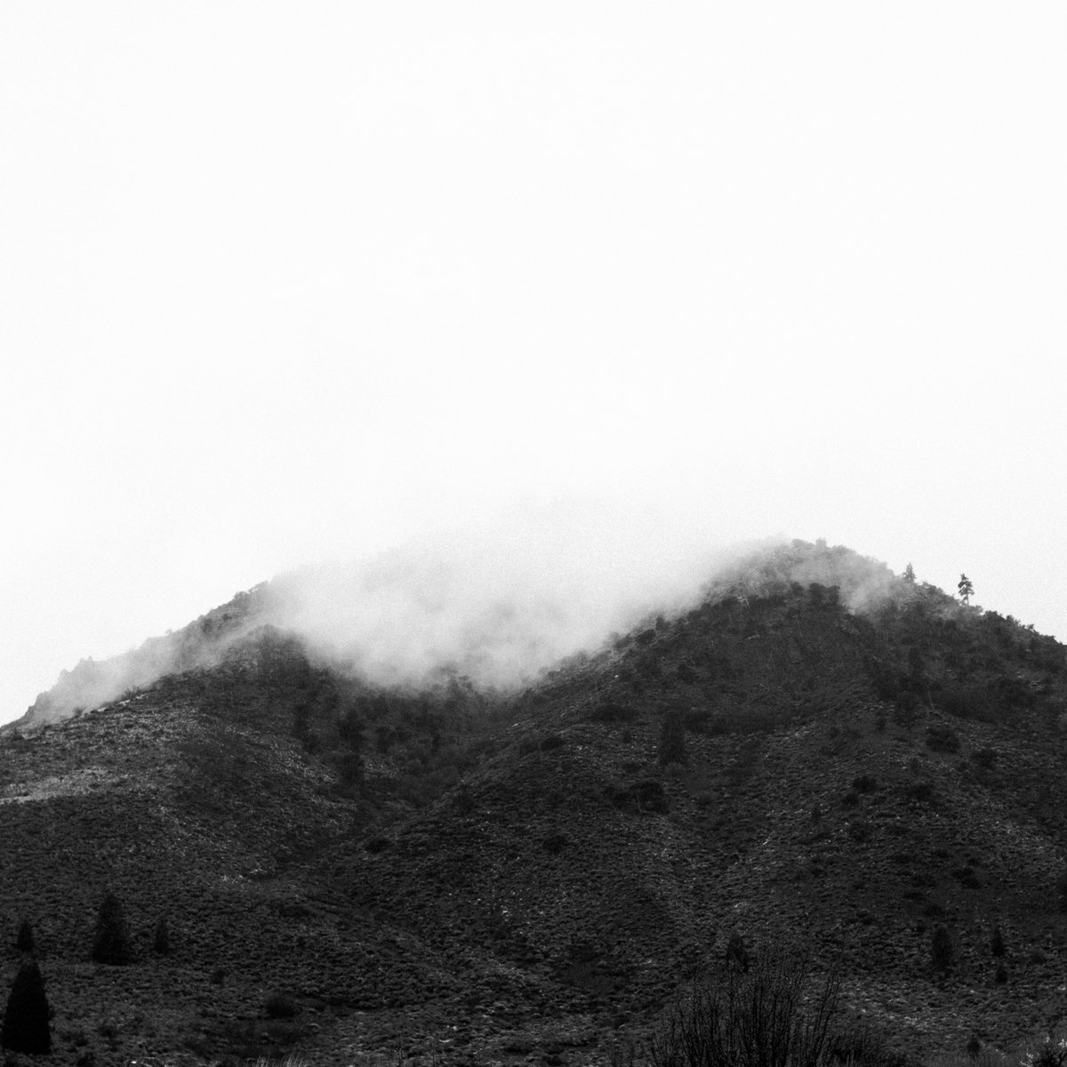 Sleeper | Disfiguring The Goddess