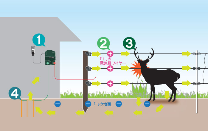 電気柵について（仕組み、種類、よくある質問） | ファームエイジ株式
