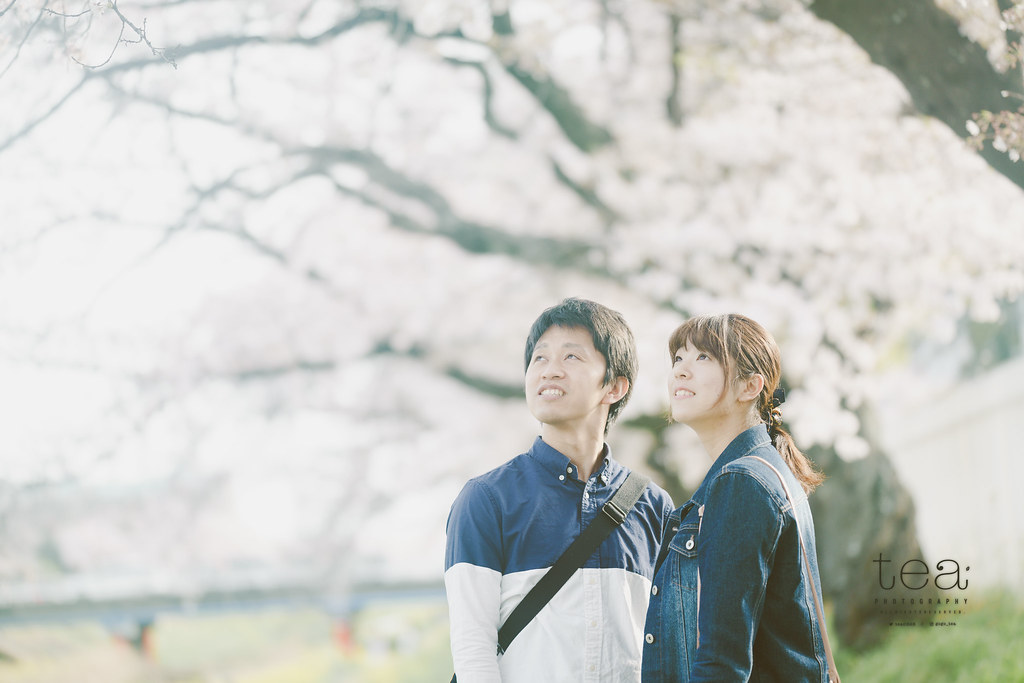 LAOWA(ラオワ) 105mm F2 Bokeh Dreamerのレビュー。撮影例2年分を公開