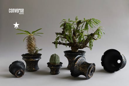 コンバース トウキョウがボタナイズとコラボ、丹波焼の窯元 野村豪人が