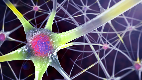 テクニウム / テクノロジーはどこへ向かうのか? | 本の要約サービス