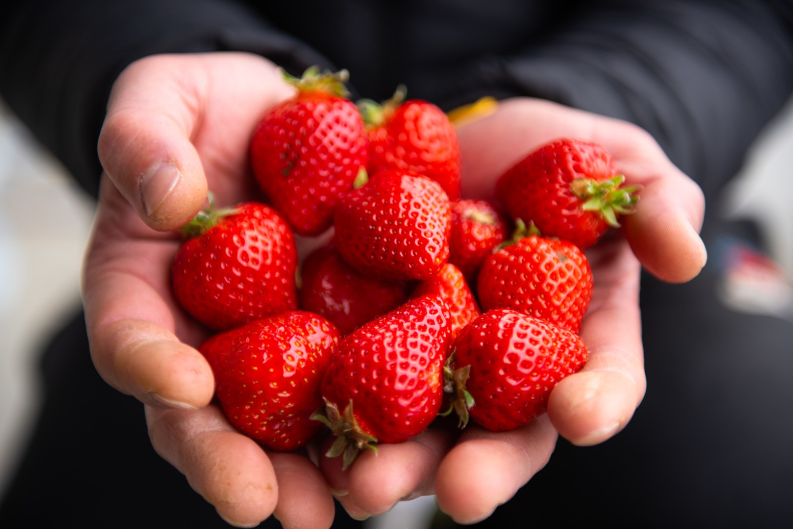 いちごの王様「あまおう」のロス果実を生かしたサスティナブル