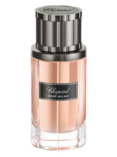Chopard Rose Malaki Chopard perfume - a fragrance for women and