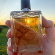 Terre D'Hermes Eau Intense Vetiver Hermès cologne - a fragrance