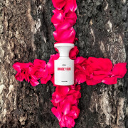 Unholy Oud BORNTOSTANDOUT® perfume - a fragrance for women and men