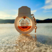 The Sinner Forbidden Police 香水- 一款2016年女用香水