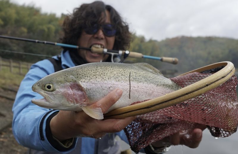 CANARIA AZORES77(カナリア アゾレス77) - Fin‐ch