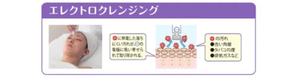 バイオニックセルサーII（本体） | 業務用美容・エステ機器の卸・仕入