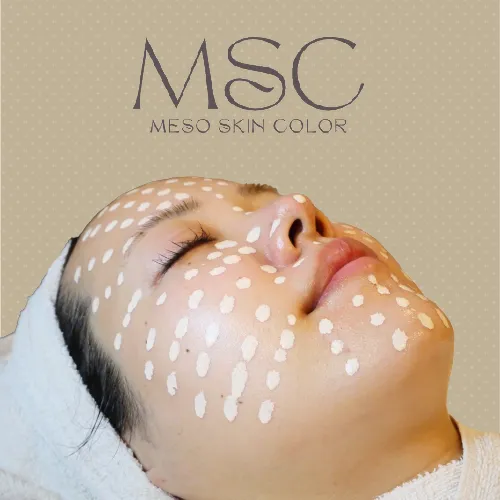 メソスキンカラー（導入セット/単品販売） | 業務用美容・エステ機器の