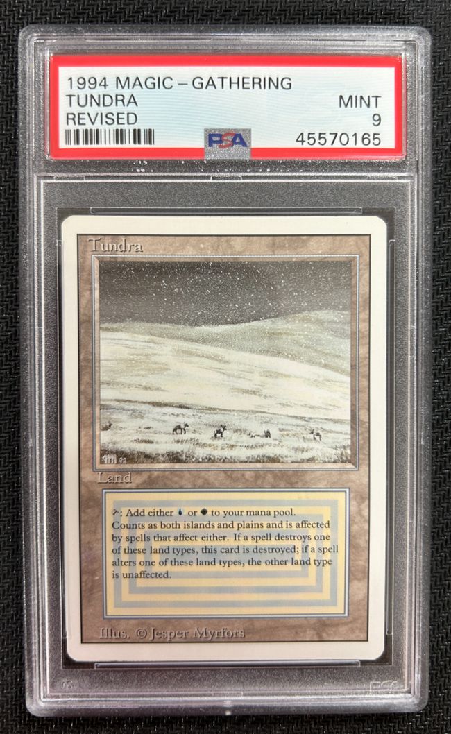 買取：《Tundra》[3ED] 土地R | 日本最大級 MTG通販サイト「晴れる屋」