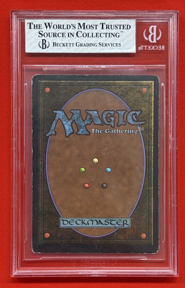 Tundra》[2ED] 土地R | 日本最大級 MTG通販サイト「晴れる屋」