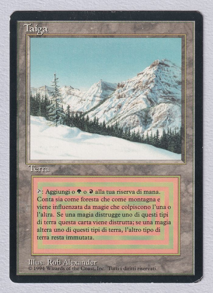 Taiga》[3EDBB] 土地R | 日本最大級 MTG通販サイト「晴れる屋」