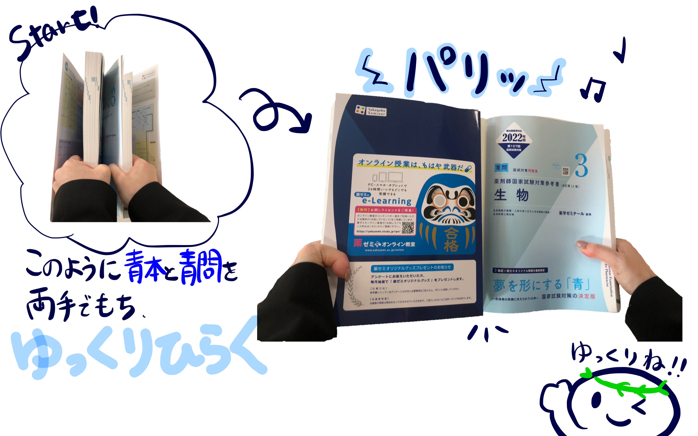 第107回「青本」「領域別既出問題集」4/15（木）発刊 - 薬学ゼミナール