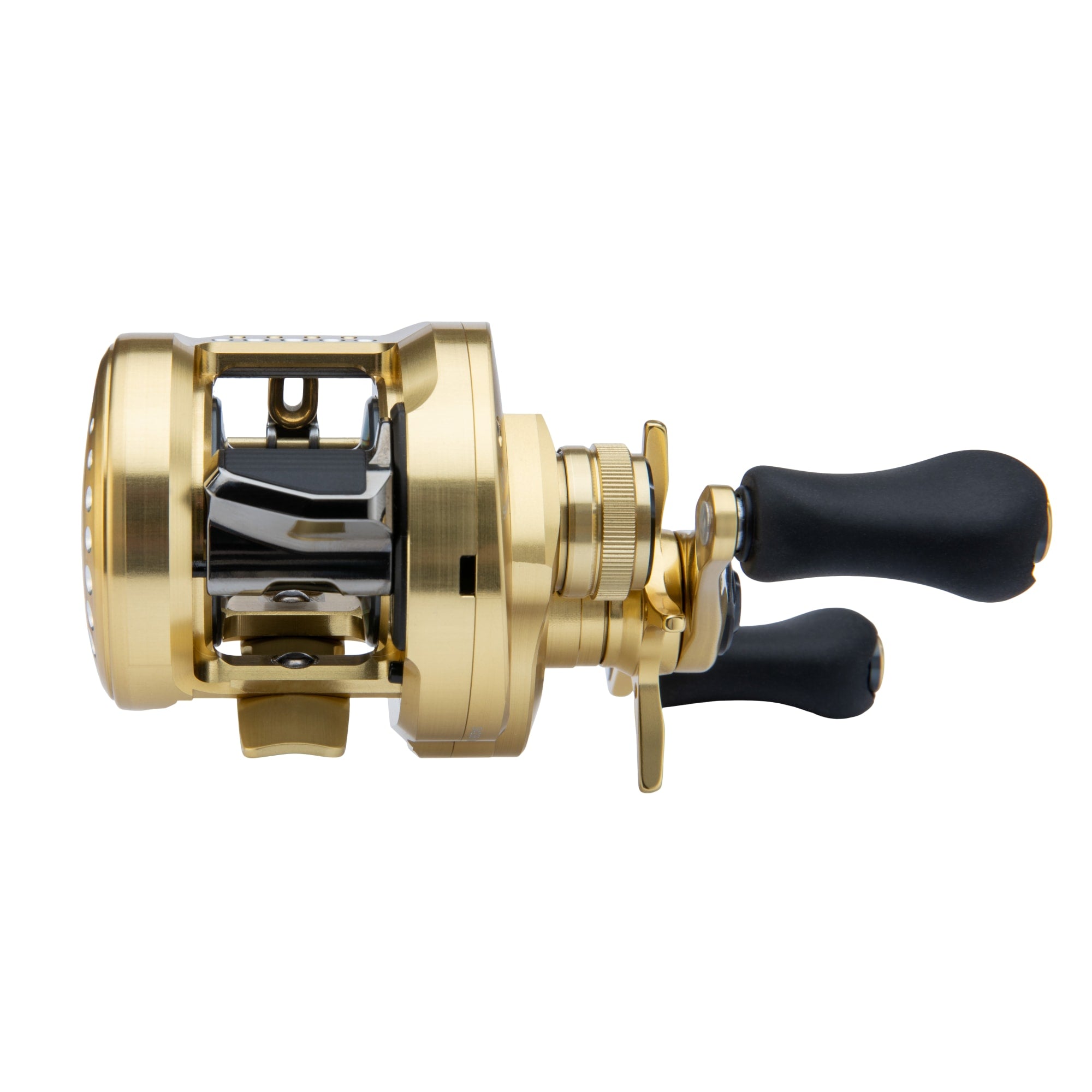 CALCUTTA CONQUEST 100-200 A – Shimano US Fish Shop