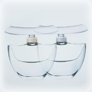 エスティ ローダー / ダズル ゴールドの公式商品情報｜美容・化粧品