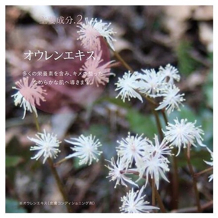 DIANA GEN / ハイドレーショングローオーラクリーム 50mlの公式商品