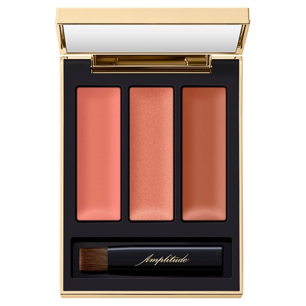 Amplitude(アンプリチュード) / リップカラーパレットリミテッド