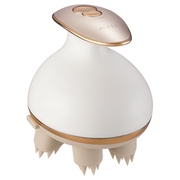 鹿児島超音波総合研究所 / スキンスクライバーKK202SKの商品情報｜美容