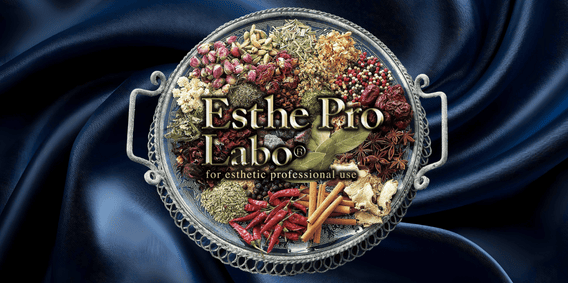 山田 雄士 – F7SL 関東リーグ