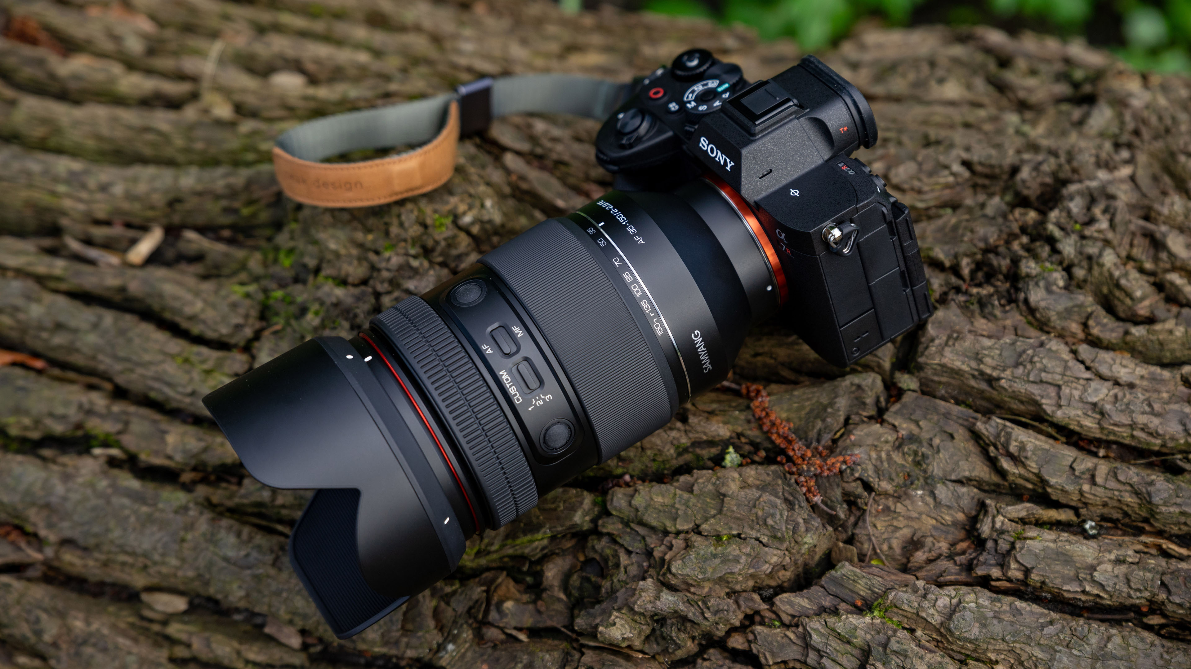Review Samyang AF 35-150mm F2.0-2.8 FE - Borrowed well - Focus Review