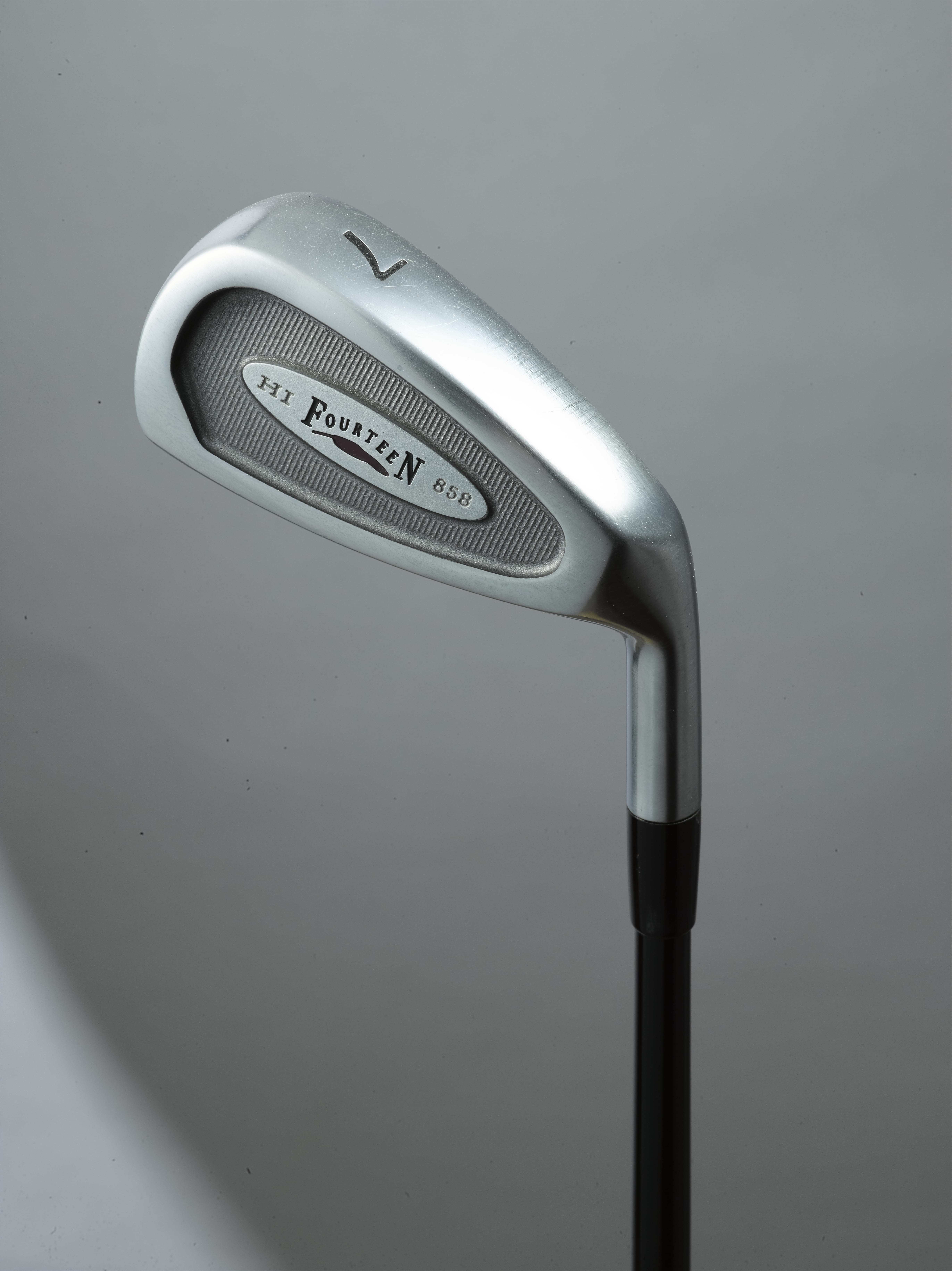 進化のイデア 第十一章 | フォーティーンマガジン