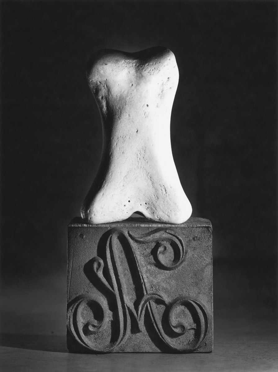 Inner Light - FLOR GARDUÑO