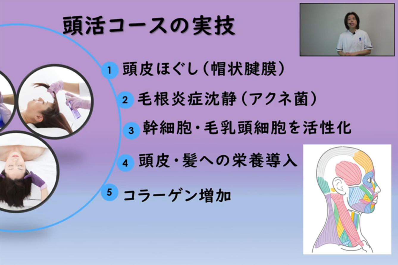 頭活 - エステサロン向け美容機器・基礎化粧品のフレキシアエステ