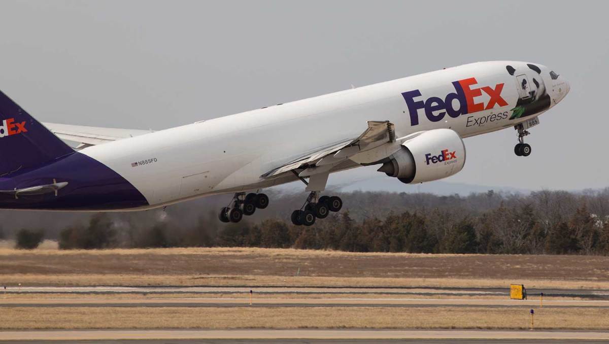 フェデックス、パンダ「バオバオ」を乗せ特別塗装機で成都へフライト