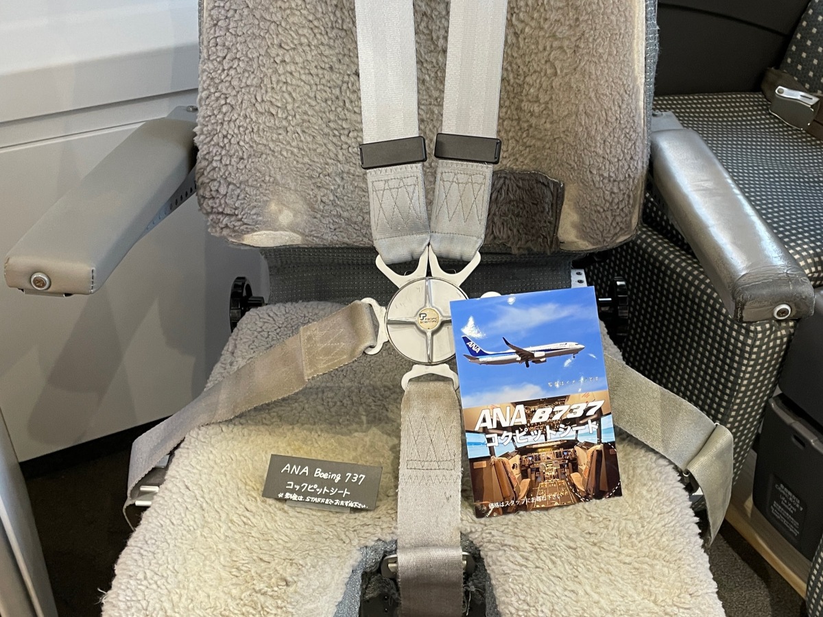 ニュース画像：ANA ボーイング737型機 5点式シートベルト | FlyTeam