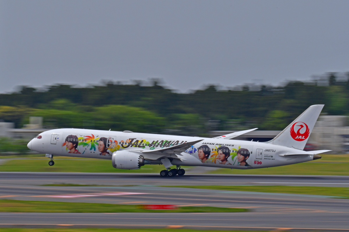 嵐ジェット、全て無くなる 最後の「嵐ジェット ハワイ」運航終了