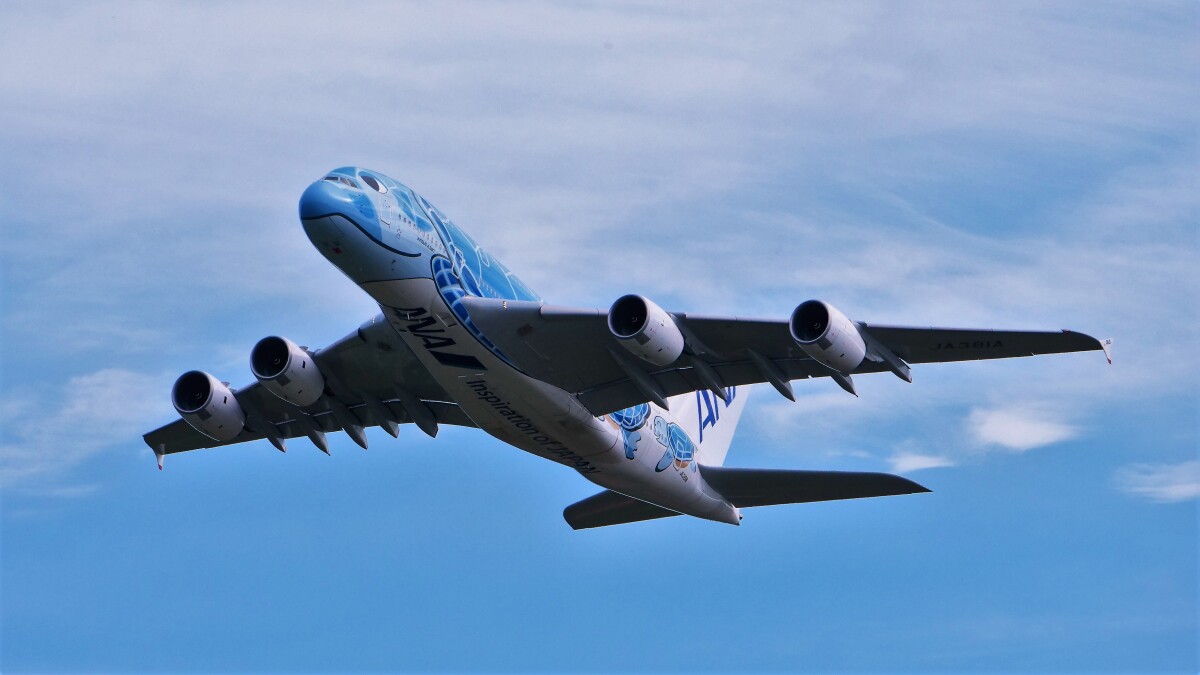 ANA A380「フライングホヌ」、新千歳で初の遊覧飛行 | FlyTeam ニュース