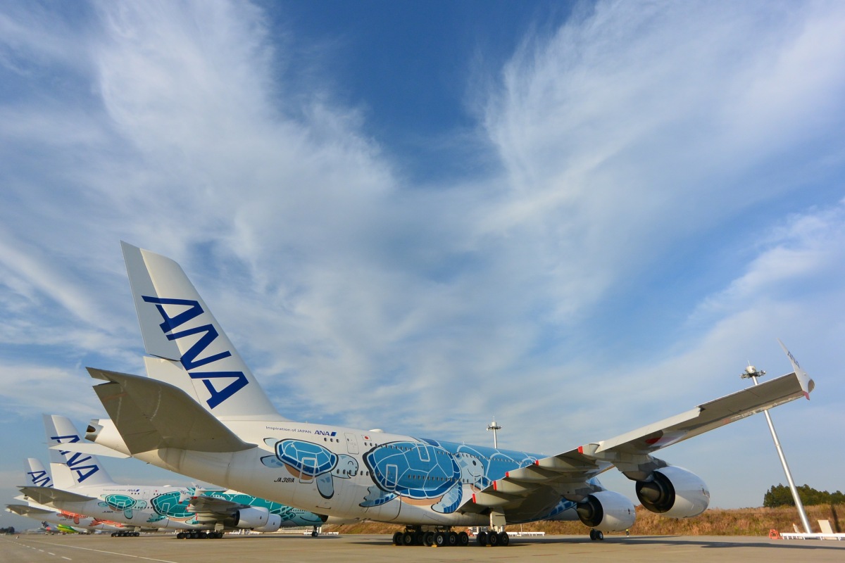 3機揃って笑顔 ANA A380「フライング・ホヌ」 本格稼働の出番待つ