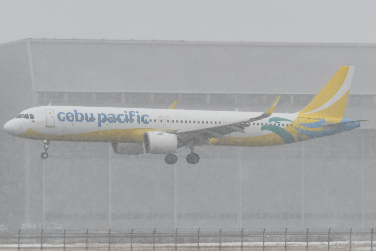 注目された飛来機情報】極楽鳥ひさびさに！UAの初MAXや旧C-3POなど