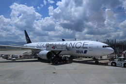 スターアライアンス」特別塗装機 全日空 (777-200 | JA711A) ガイド