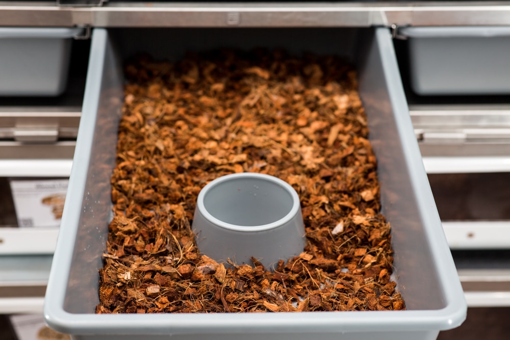 Coco Blox - Premium Coconut Substrate powered by Freedom Breeder